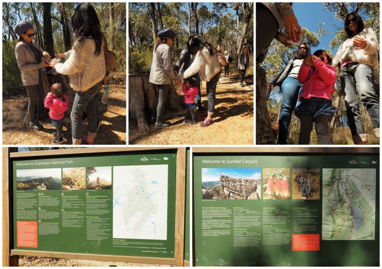 grampians national park,victoria, australia