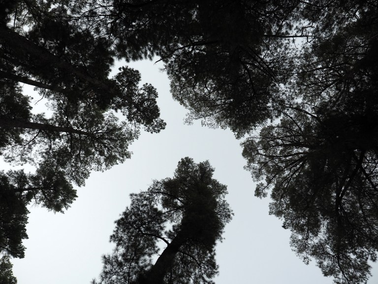 plantation campground, halls gap, victoria, australia
