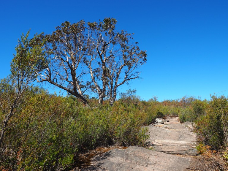 grampians national park,victoria, australia