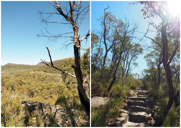 grampians national park,victoria, australia