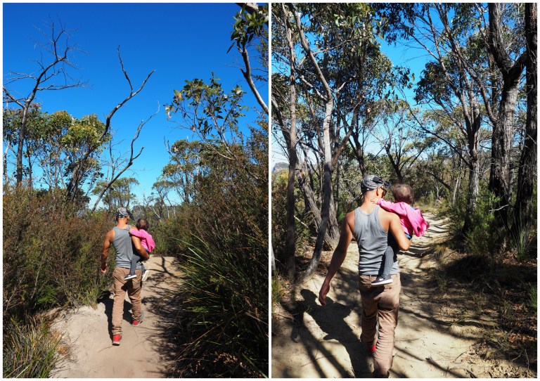 grampians national park,victoria, australia