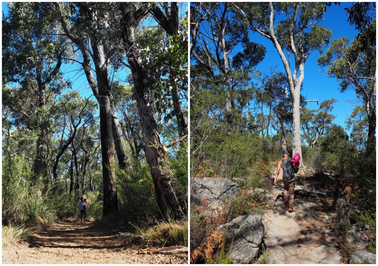 grampians national park,victoria, australia