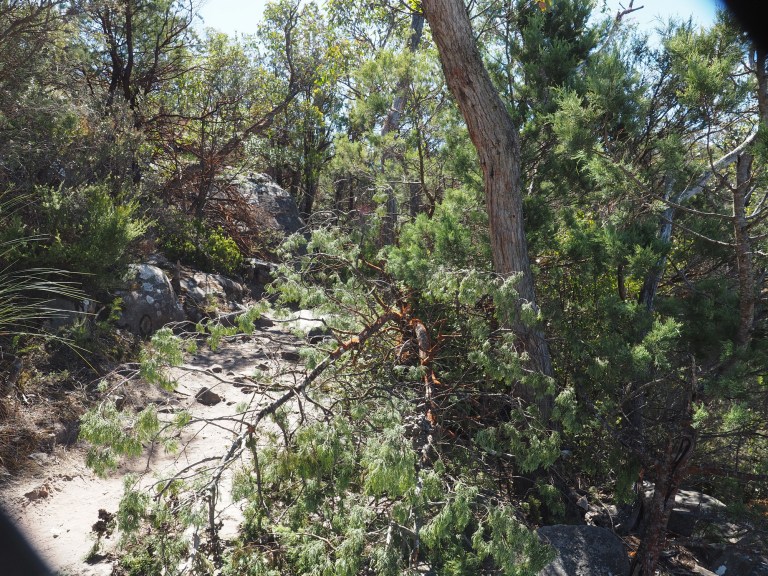 grampians national park,victoria, australia