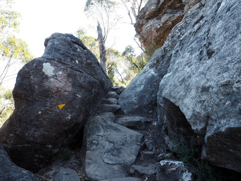 grampians national park,victoria, australia